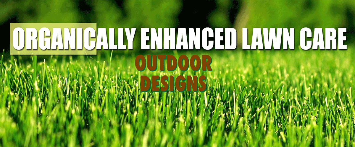 lawn service knoxville