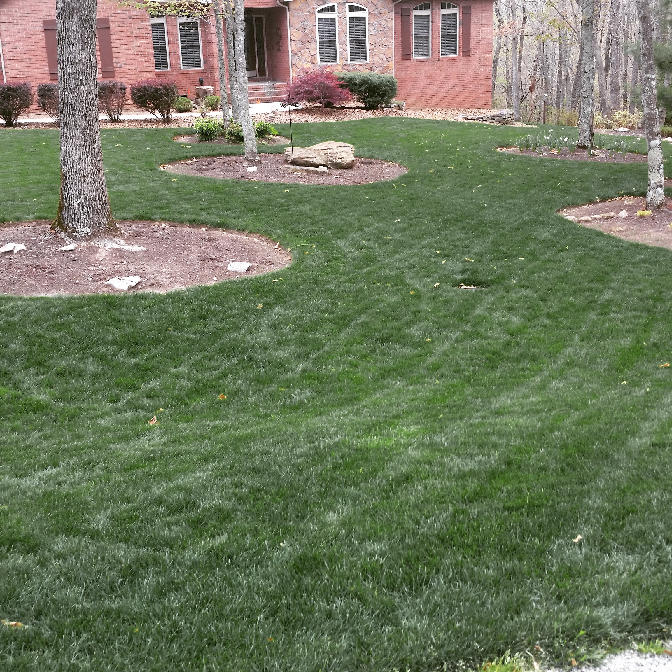Mowing Grass Makes a Difference 