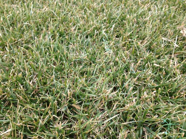 knoxvillelawncare