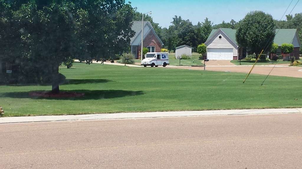 lawn care