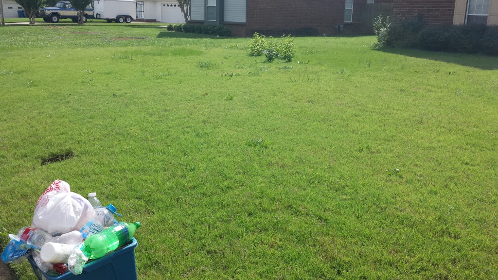 lawn service
