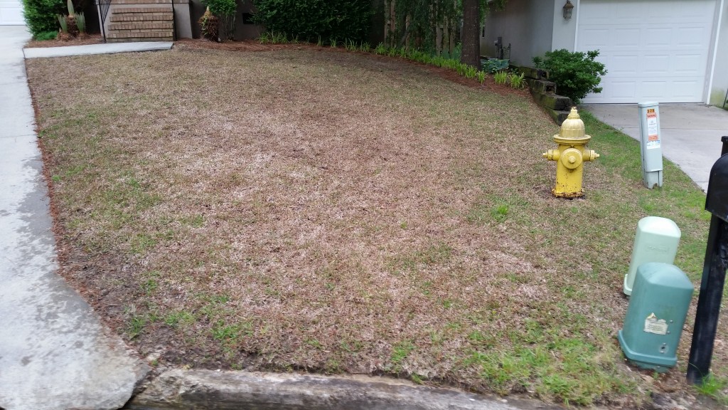 lawn care