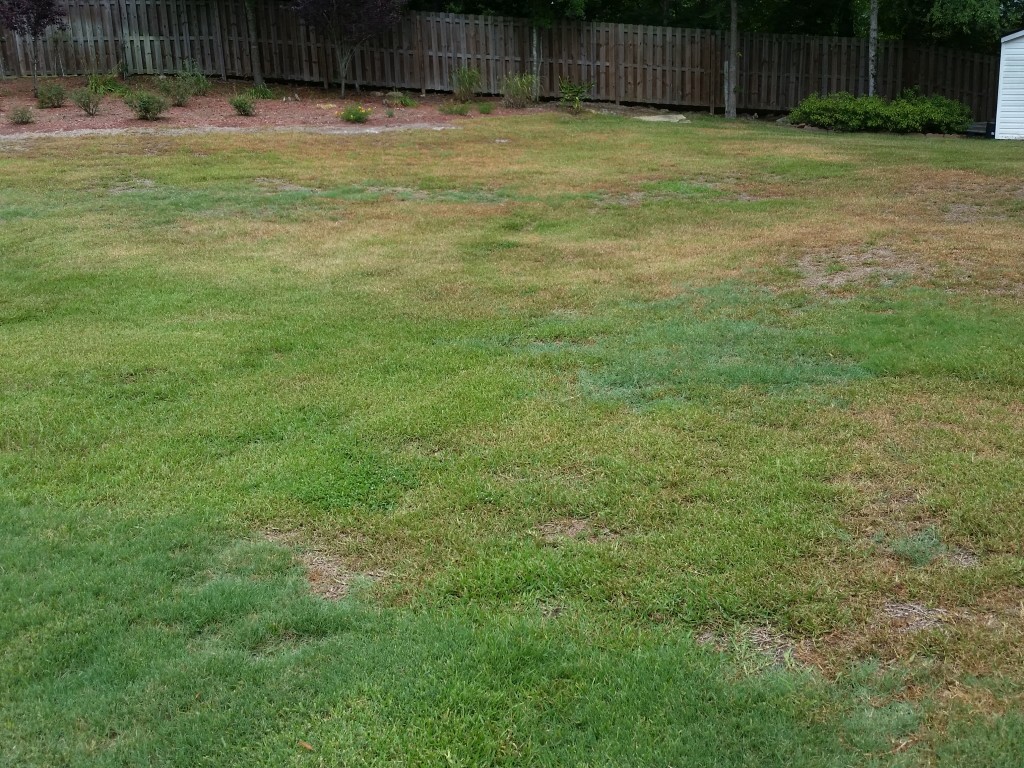 lawn service