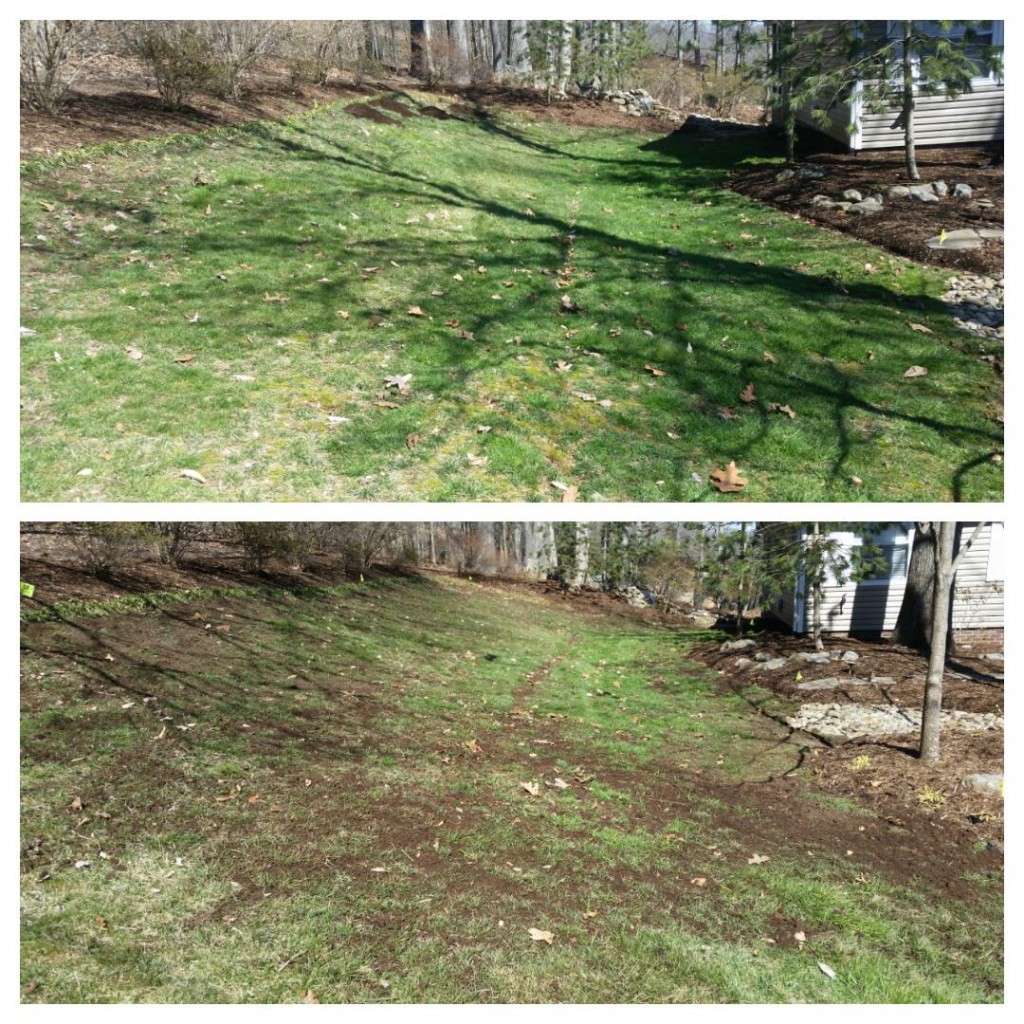 knoxville lawn care topdressing