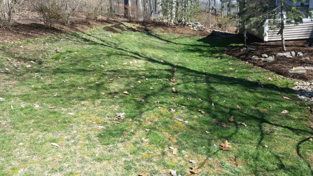 bad soil