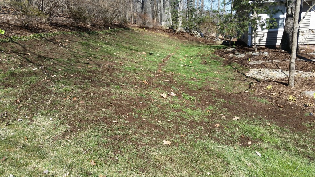 knoxville lawn care topdressing