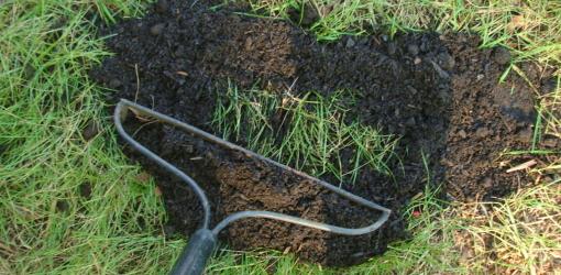 top-dressing-improve-soil-lawn-5