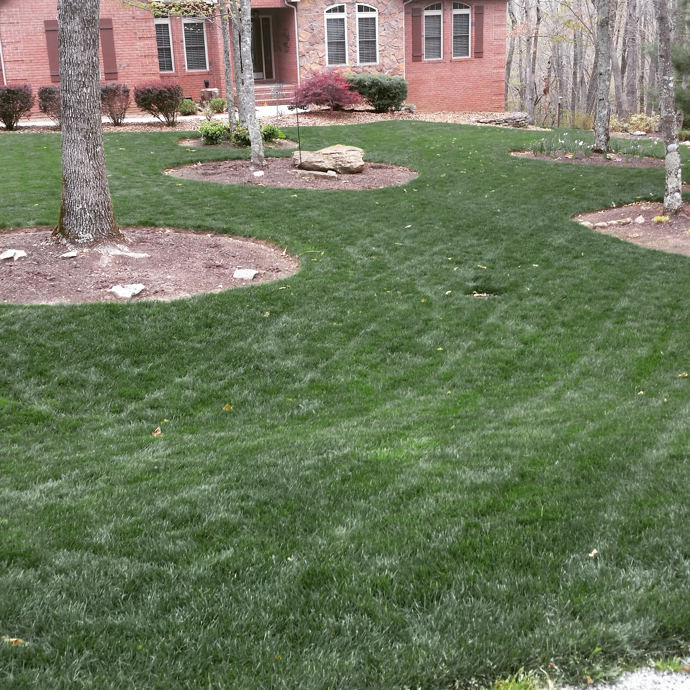 Mowing Grass Makes a Difference
