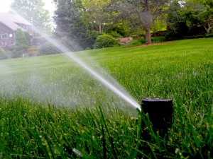 irrigation
