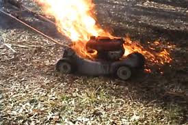 Summer Lawn Care