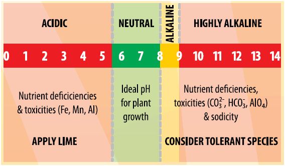 Easiest Way To Adjust Soil pH