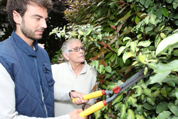 landscape design mistakes