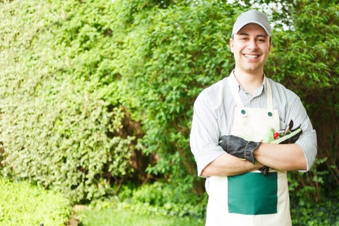 Benefits of Hiring A Lawn Care Company