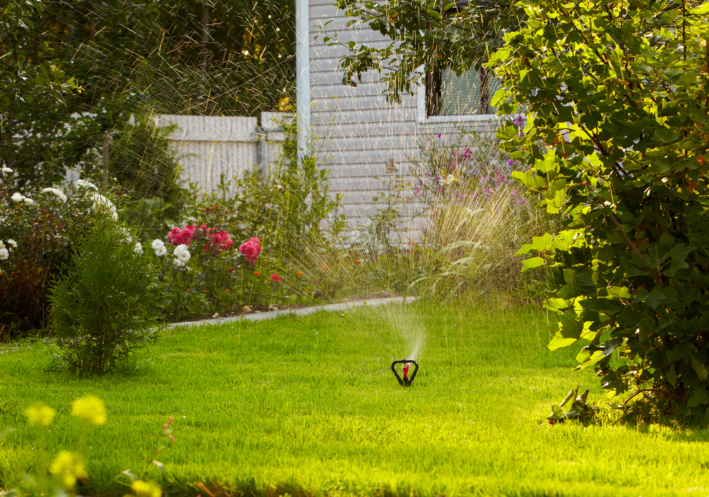 Summer Lawn Care and Water Saving Guidelines