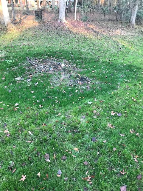 carbon is the most important element in the soil