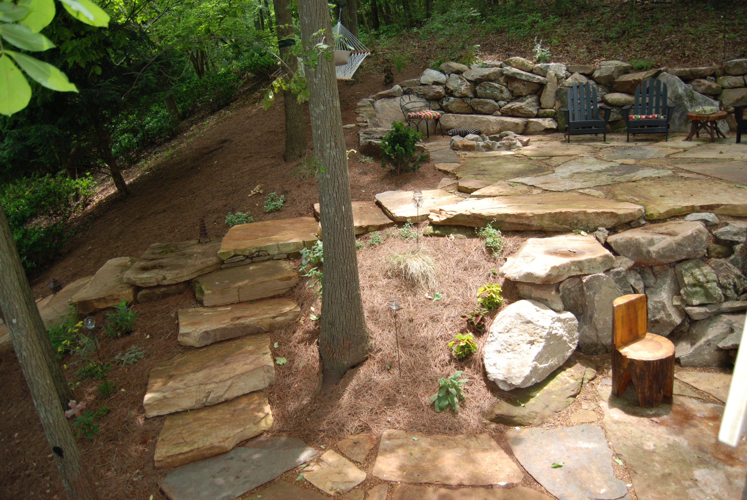 Flagstone steps cut into a wooded slope