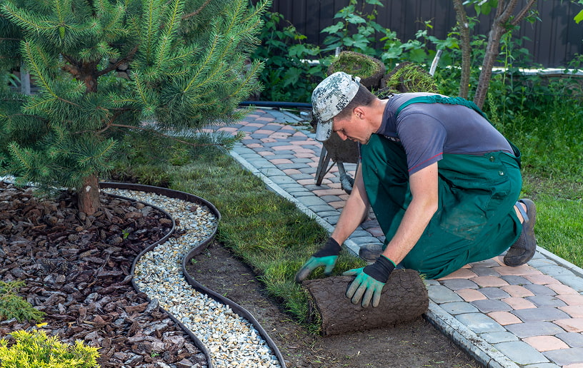 Landscaping
