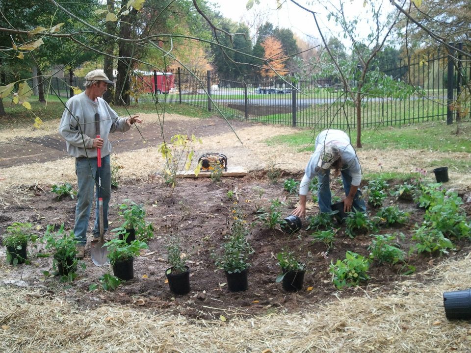 raingarden2