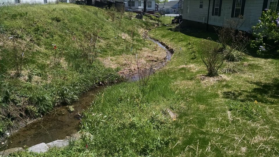 streambank2