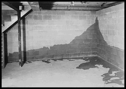wet-basement1