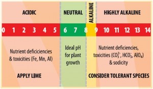 Adjust Soil pH can have a dramatic effect on growing conditions and plant health